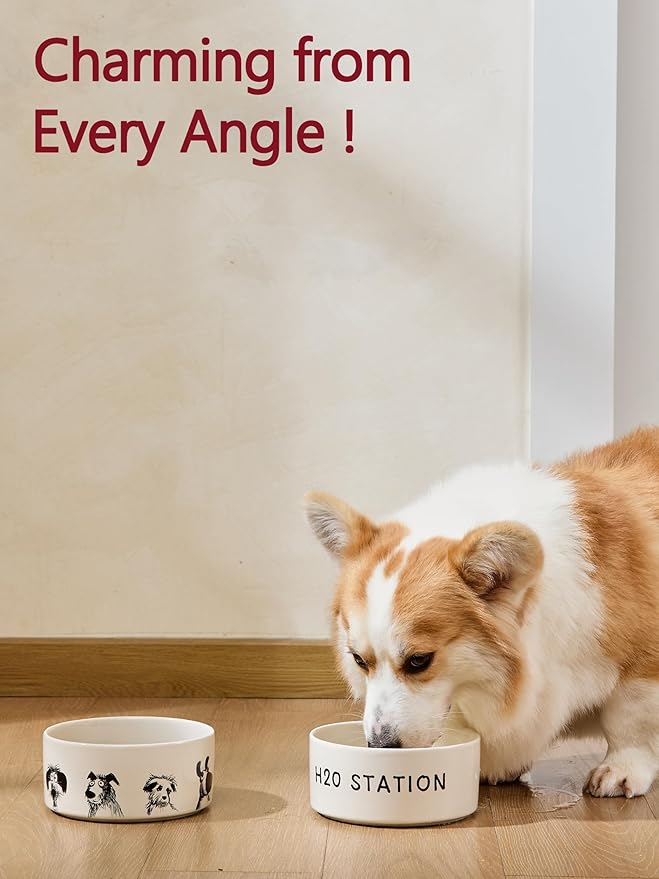 Ceramic Dog and Cat Bowl Set of 2 with Weighted Non-Slip Ring-1.6 Cups, Stoneware Food and Water Set, Pet Feeding, Microwave and Dishwasher Safe-Derpy-S 2pcs