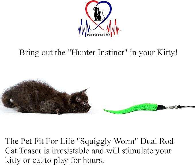 Pet Fit For Life Cat Wand Toy: 5-Piece Worm Teaser & Exerciser - Cat Wand Toys for Indoor Cats - Durable Flirt Pole/Teaser Worm Toy for Cats - Interactive Fun for Feline Fitness Health & Agility