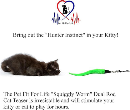 Pet Fit For Life Cat Wand Toy: 5-Piece Worm Teaser & Exerciser - Cat Wand Toys for Indoor Cats - Durable Flirt Pole/Teaser Worm Toy for Cats - Interactive Fun for Feline Fitness Health & Agility