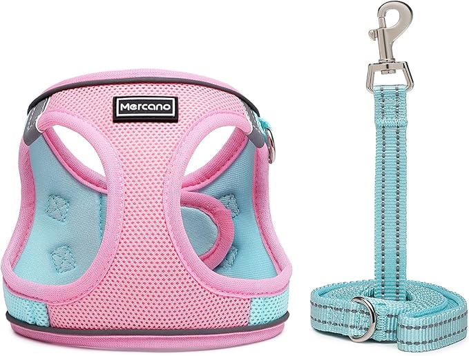Mercano Soft Mesh Dog Harness and Leash Set, No-Chock Step-in Reflective Breathable Lightweight Easy Walk Vest Harnesses with Safety Buckle for Small Dogs, Cats (XXS, Pink Blue)
