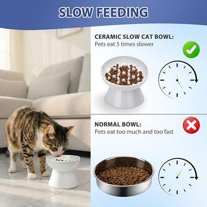 Ceramic Slow Feeder Cat Bowl, Tilted Elevated Cat Slow Feeder Bowl for Dry and Wet Food, Honeycomb Design for Preventing Vomiting & Bloating (White-Honeycomb Style, 5.9 inch)