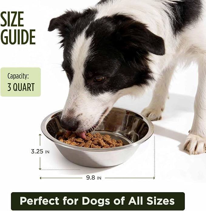 Scott Pet Bowl Stainless Steel 3 Quart, Silver (Pack of 2)