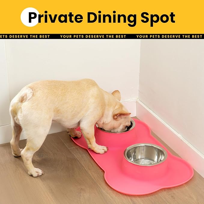 Medium Pet Feeding Station, 29oz Stainless Steel Dog Bowls Set, No Spill Food & Water Dishes with Non Slip Silicone Mat for Breeds Up to 55 Lbs, Pink
