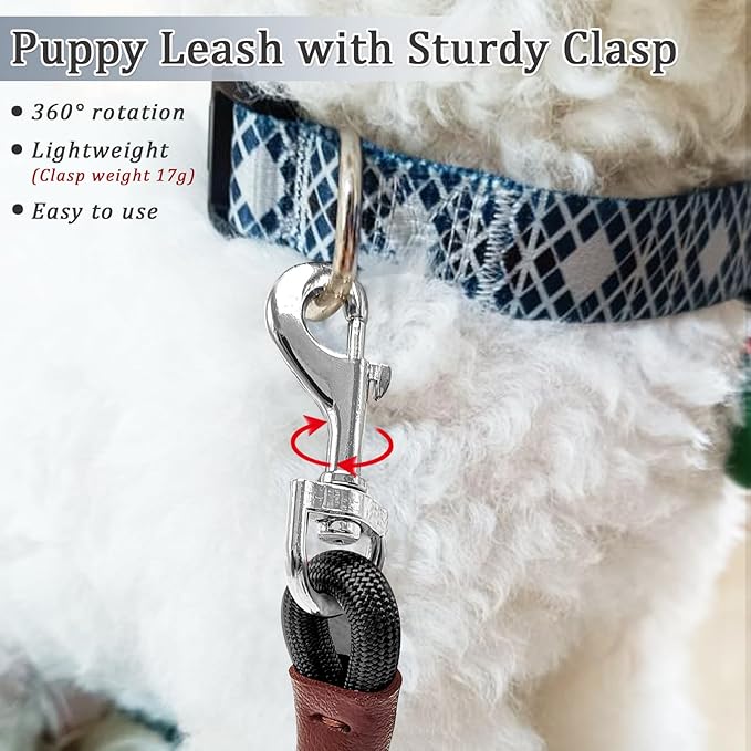 WYuZe 5ft Puppy Leash for Small Dogs, 1/4" Thin Rope Dog Leash with Easy to Use Hook, Lightweight Cat Leashes for Chihuahua/Yorkie/Toy Breed 10 Colors, Black