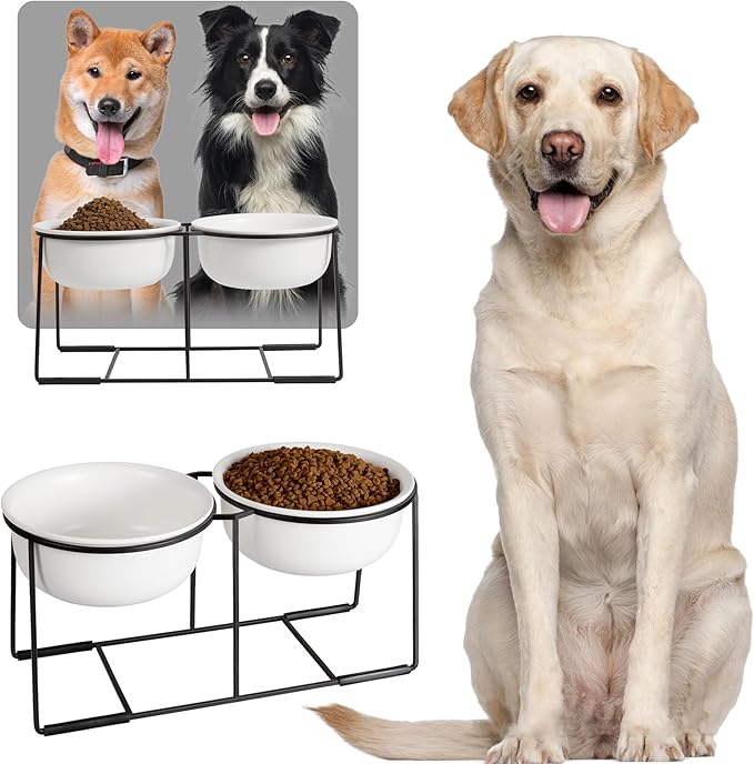 Ceramic Elevated Dog Bowl Set - Raised Double Feeding Bowls with Metal Stand - Pet Dishes for Medium and Large Dogs - 3.5 Cups - 54 fl oz - Matte White