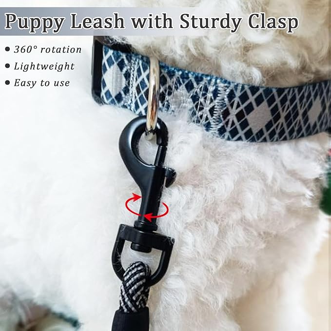WYuZe 5ft Puppy/Dog Leash for Small Dogs, 1/4" Thin Rope Leash with Easy to Use Hook, Lightweight Leashes for Cat/Tiny Breed Walking Training, 10 Colors, Black Pink