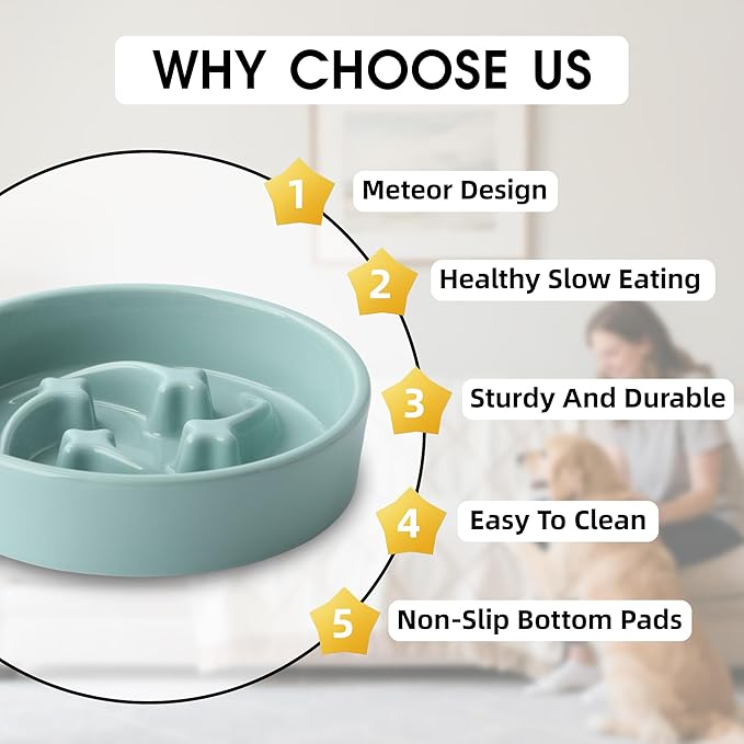 Ceramic Slow Feeder Dog Bowls Small Breed, 0.6 Cups Slow Eating Dog Bowl, Anti-Gulping Puppy Food Bowl Reduce Choking, Puzzle Maze Design Pet Dishes for Fast Eaters, 6.3 inch - Light Green