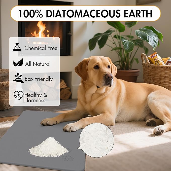 Newest Diatomite Stone Pet Feeding Mat for Dog&Cat–Super Absorbent Diatomite Fast Drying Stone Dog Food Mat, Quick Dry Dog Mats for Food and Water with Non-Slip Pad (24×16'', Dark Gray, Square)