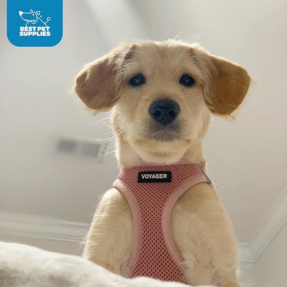 Best Pet Supplies Voyager Step-in Air Harness - All Weather Mesh, Reflective, No Pull Harness for Dogs, Cats - Secure with Hook & Loop Fastener, Buckle, Double D-Rings - Pink, XS