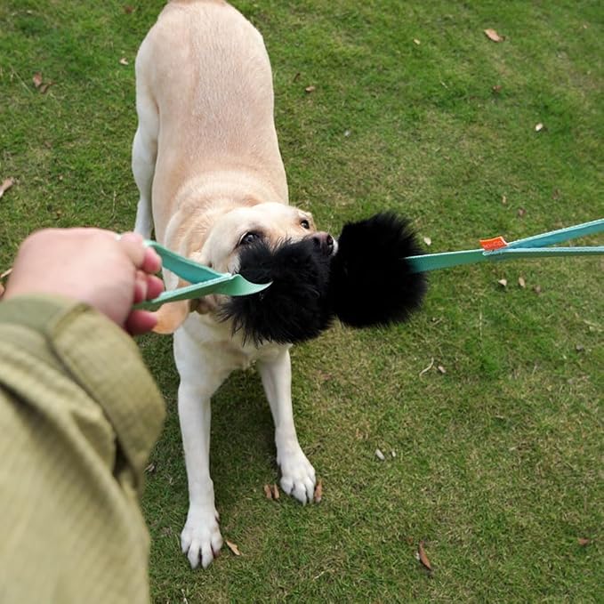 HOWGO Dog Rope Toy - Double Handle Dog Bungee Chaser Toy 100% Sheepskin,Sheep Smell Tug Toy for All Breeds(Mint Green, Large)