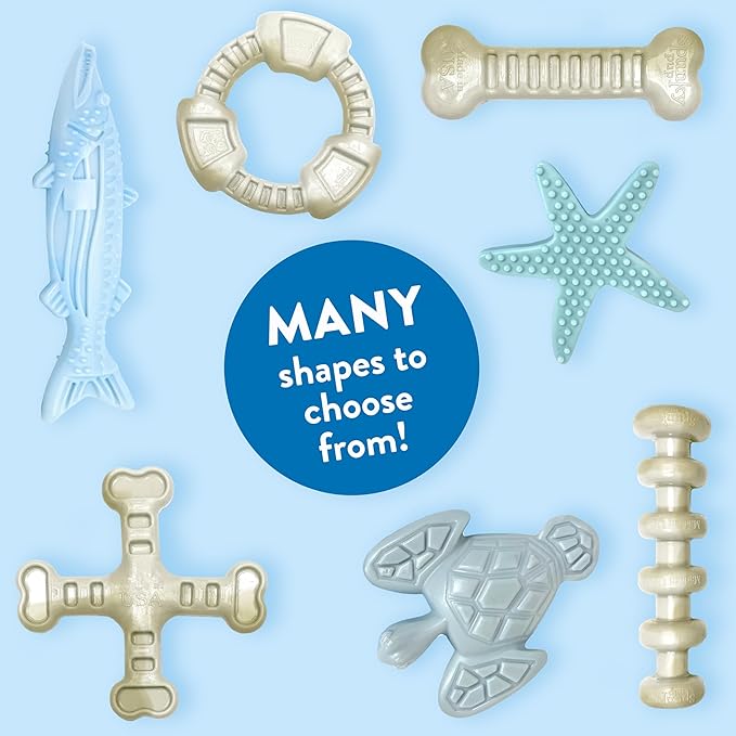 Spunky pup Clean Earth Heavy Duty Dog Chew Toys for Aggressive Chewers - Recycled, Made in USA, Starfish