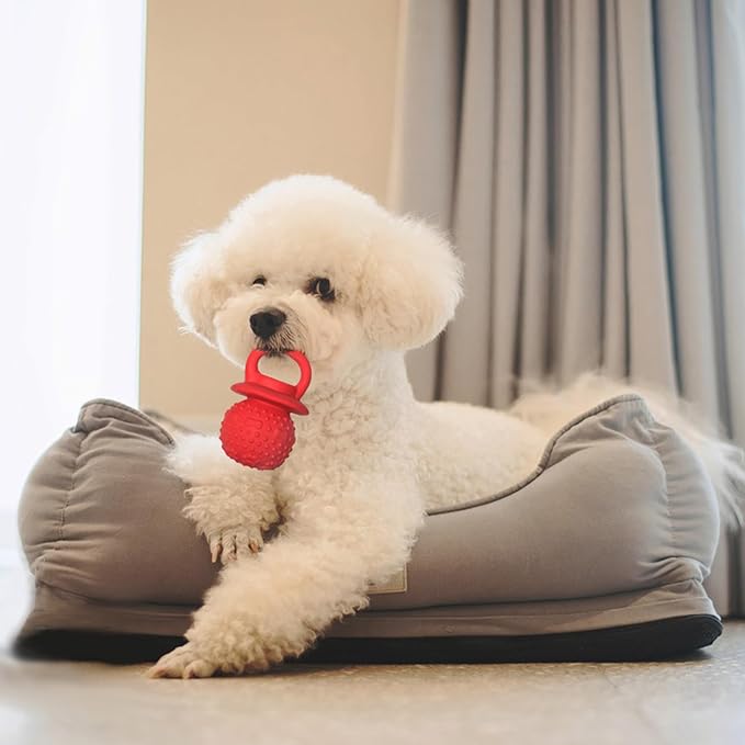 Latex Chew Dog Toys, Novelty Squeaky Pacifier Dog Toys for Teething Puppies, Mild Chewing Small, Medium, Large Dogs, Pet Dogs Supplies Newborn Puppy Gift (2 Pcs, Red+Yellow
