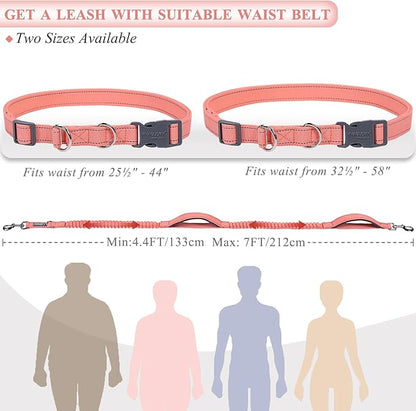 VIVAGLORY Hands Free Dog Leash Bungeetwin Running Dog Leash with Waist Belt for Running Walking & Jogging, Bungee & Around Waist for Pet, S, Pink/Grey