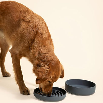 Should We Go? Dog Water Bowl - The Perfect Dish No-Spill, Less Mess Non-Tippable Water & Food Bowl, Pure Silicone with Suction Cup, Fits 8 Cups 9.5" Across x 2.5" Tall, Ideal for All Pets, Large-Sage