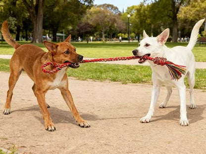 7 Pack Dog Rope Toys for Large Dogs - Colorful Red Blue Yellow Braided Rope Toys, Durable Dog Chew Toys for Aggressive Chewers