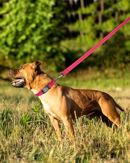 FunTags 6FT Reflective Dog Leash with Soft Padded Handle for Training,Walking Lead for Large & Medium Dog,1 Inch Wide,HOTPINK