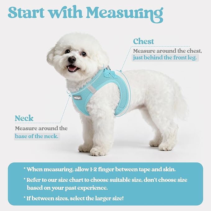 rabbitgoo Dog Harness Medium Sized and Leash Set, Step in Soft Light Puppy Vest, Breathable Mesh Pet Harness, Reflective for Safe Easy Walking, Mint Blue XXL