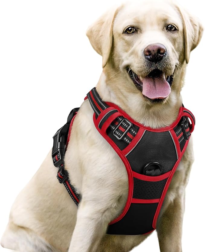 rabbitgoo Dog Harness No Pull with 2 Leash Clips, Adjustable Soft Padded, Reflective Oxford No Choke Pet Vest with Easy Control Handle for Large Dogs, Black & Red, L