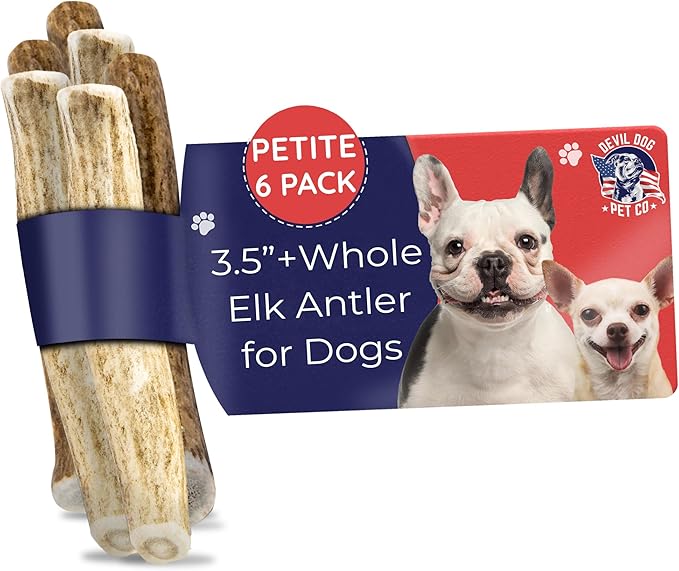 Devil Dog Pet Co - Elk Antler for Dogs Petite 6 Pack - Long Lasting Natural Dog Chew for Toy & Extra Small Breeds - Naturally Shed Grade A Rocky Mountain Elk, Anxiety & Boredom Relief