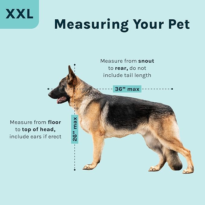 SportPet Airline Compliant XX-LARGE 36" Travel Dog Kennel-Durable Plastic Airline Pet Carrier w/ Removable Wheels & Food Bowls, Collapsible Indoor/Outdoor Dog Kennel, Dogs up to 36"L & 27"H-Cream/Gray