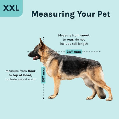 SportPet Airline Compliant XX-LARGE 36" Travel Dog Kennel-Durable Plastic Airline Pet Carrier w/ Removable Wheels & Food Bowls, Collapsible Indoor/Outdoor Dog Kennel, Dogs up to 36"L & 27"H-Cream/Gray