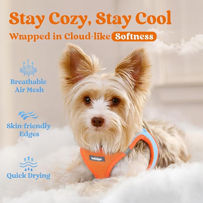 rabbitgoo Small Dog Harness, Step-in Soft Mesh Puppy Vest with Safety Buckle, Breathable Reflective Pet Harness for Extra Small Dogs, Blue & Orange XXS