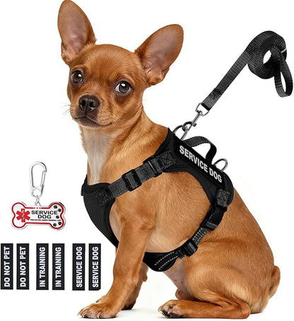 Service Dog Vest for Small Breed Dogs with ID Tag – Lightweight Puppy Harness and Leash Set with 6 PCS Patches, Ideal Service Animal Vest for Training, Complete Service Dog Gear, Black, XS