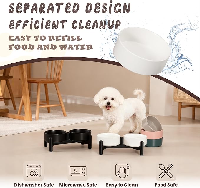 Raised Ceramic Dog Bowl Set - Elevated Double Dishes with Stainless Steel Stand - Food and Water Bowls for Small Dogs and Indoor Cats - Each Holds 1.6 Cups (10.8 fl oz) - White