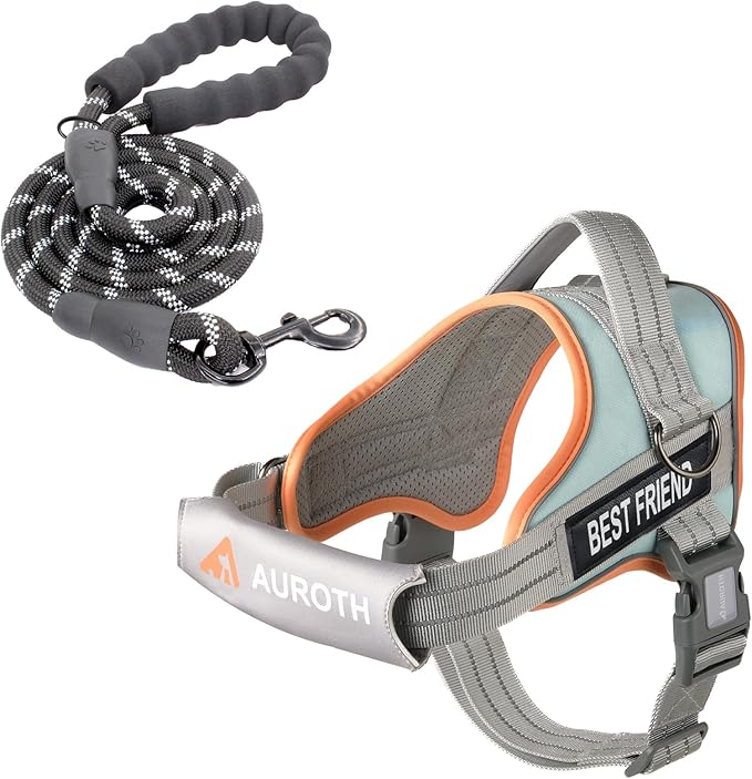 AUROTH Dog Harness and Leash Set, Soft Padded Service Dog Vest with 5.25FT Dog Leash, No Choke, Easy On Pet Vest, Adjustable Reflective No Pull Dog Harness Small Sized Dog, Easy Walking and Training