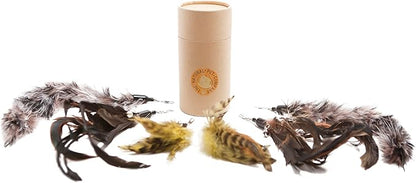 The Natural Pet Company Cat Toys Feather Refill 6 Pack - Add Life to Your Cat's Favorite Toy with This Interchangeable Feather Refill Multipack (As Photographed).