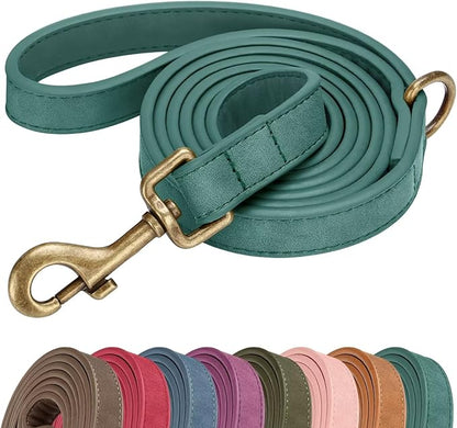Didog Stylish PU Leather Dog Leash for Large Dogs, Easy to Clean 5ft Dog Leashes for Medium Dogs, Fashionable and Elegant for Walking, Running and Training,Green, M