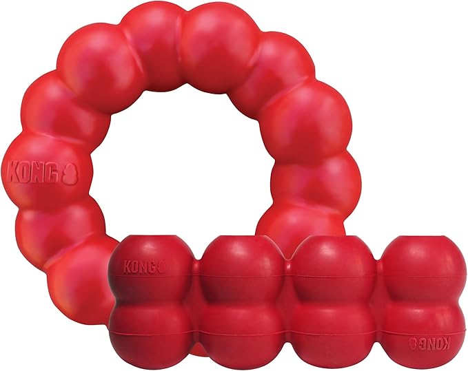 KONG Ring & Goodie Ribbon - Durable Rubber Treat-Dispensing Chew Toy for Dental Health - for Small Dogs