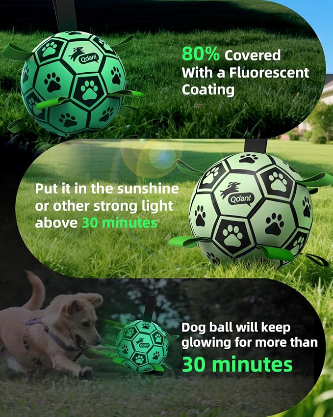 QDAN Dog Ball, Glow in The Dark Dog Toys, Light Up Soccer Ball for Dogs, Outdoor Dog Toys, Doggy Water Toy, Puppy Birthday Gifts for Medium Large (8 Inch)