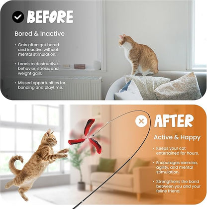 Hi Pets- Cat Wand with 4 pcs Natural Teaser Feathers, Interactive for Indoor Cats,1pc 72 in, Telescopic Cat Wand Long and Flexible, Interactive for Teaser Play and Chase Exercise with Kitten.