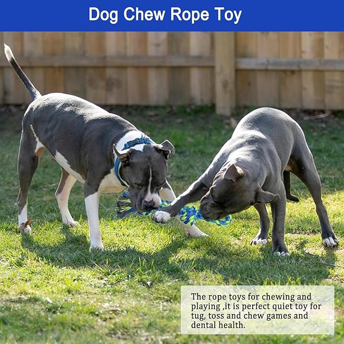 Dog Bungee Tug Toy Hanging from Tree,Outdoor Tug of War Interactive Tether Dog Rope with Chew Lure for Small Medium Large Dogs (Blue)