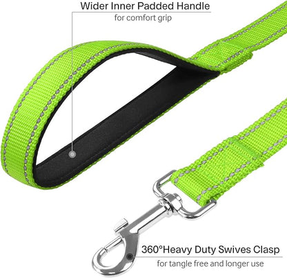 FunTags 6FT Reflective Dog Leash with Soft Padded Handle for Training,Walking Lead for Medium & Small Dogs,3/4 Inch Wide,Green