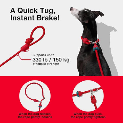 VETRESKA Hands-Free Dog Leash, 8FT Adjustable Rope Leash for Medium Large Dog, Waist/Crossbody Slip Lead Leashes for Walking, No Pull Leashes with Bag Dispenser, Clip, 3 in 1 Walk Kit (Strawberry)