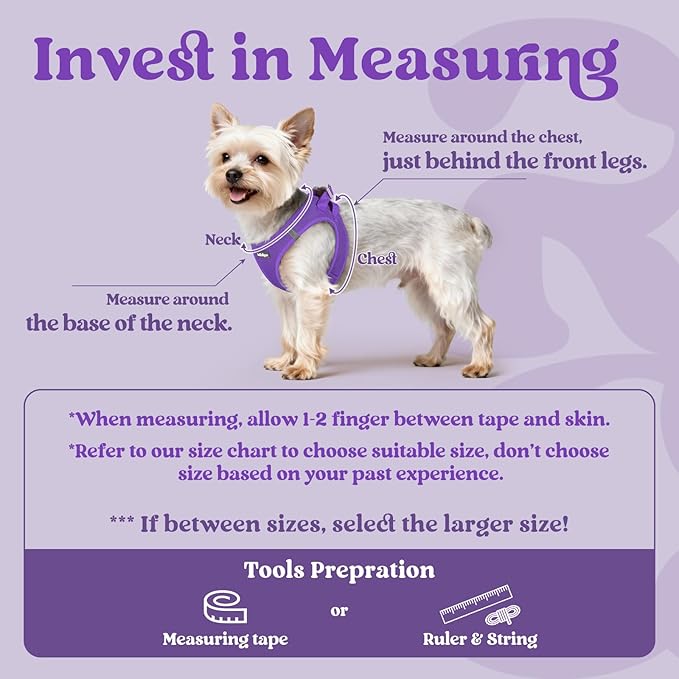 rabbitgoo Small Dog Harness, Step-in Soft Mesh Puppy Vest with Safety Buckle, Breathable Reflective Pet Harness for Small Medium Dogs, Purple XL