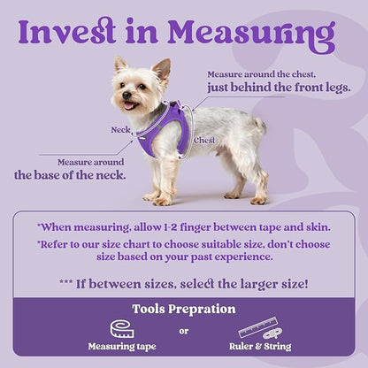 rabbitgoo Small Dog Harness, Step-in Soft Mesh Puppy Vest with Safety Buckle, Breathable Reflective Pet Harness for Small Medium Dogs, Purple XL