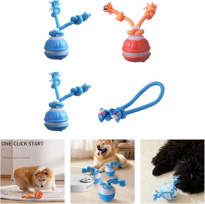 Auto Bouncing Pet Toy with Noise Maker ABS Indoor Outdoor Use for Puppy Exercise Chew Interactive Pet Ball