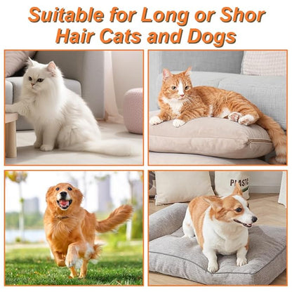 New Cat Grooming Brush With Steam - Rechargeable, Anti-Static, Massage, Cleaning, Shedding & Combing All In One