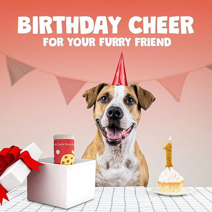 Soda Can Parody Dog Toy – Funny Squeaky Dog Toys for Interactive Play and Training – Durable, Easy to Clean, Birthday Gifts for Small, Medium and Large Dogs
