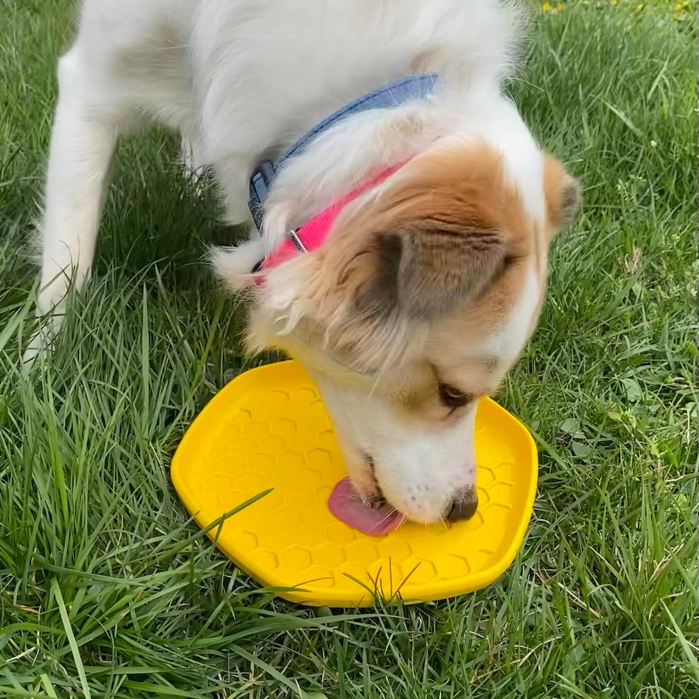PROJECT HIVE ·PET COMPANY· Dog disc - Great for Fetch - Includes a Lick mat on Back - Floats in Water, Smooth Glide - Made in The USA (Unscented Yellow) - Image 5