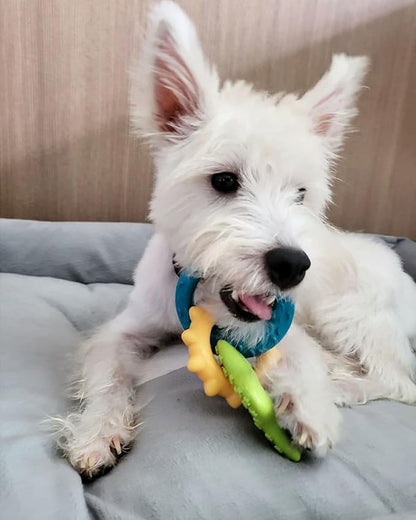 Nylabone Teething Rings Puppy Power Chew Toy for Puppies, Soothing Puppy Teething Bone, Enrichment Toy for Puppies, Bacon Flavor, Small Dogs - Up to 25 Ibs, 1 Count