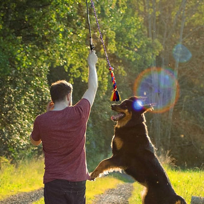 Flirt Pole for Dogs-Interactive Lures Durability Rope,Chase and Tug of war Puppy Toy，Outdoor Dog Agility Training Equipment Plush，Teaser Chew Pet Kits for Small Medium Dogs