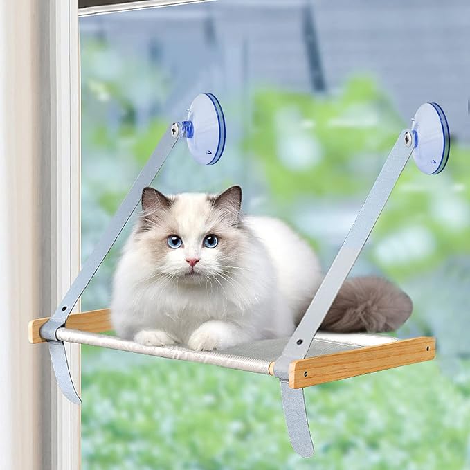 WishLotus 4pc Cat Window Perch - Suction Cup Bed Seat Accessories, Thickened PVC Suction Cup Replacement, Pet Supplies