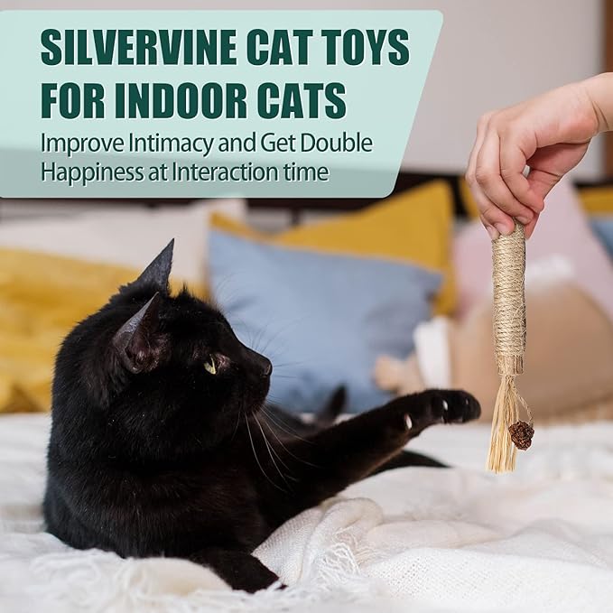 4pcs Kitten Chew Toys Teething, 2 Types Catnip Chew Toys for Cats Natural Silvervine Blend Sticks for Dental Care Treat with Raffia Feather Cat Teeth Cleaning Toy Indoor