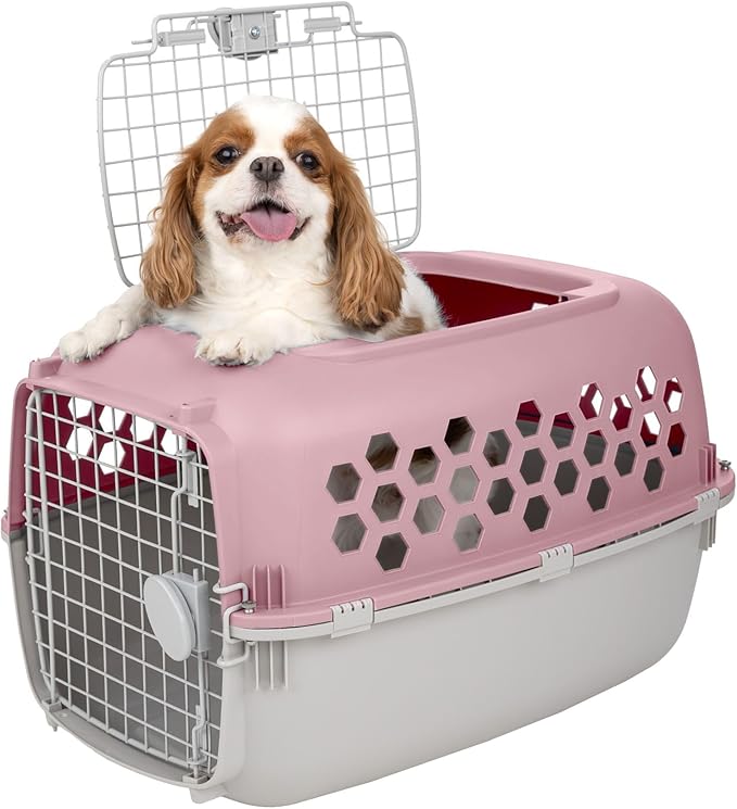 2-Door 24" Plastic Portable Dog Kennel, Pink – Lightweight Travel Crate for Small Dogs & Cats, Indoor/Outdoor Use with Secure Latches