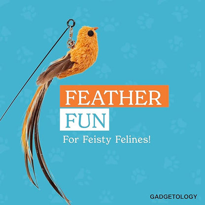 Bird Toy for Cats - 5 Pack Natural Feathers Stable Round Base - Interactive Wand Teaser - Self Play Hunting Enrichment - Bored Indoor Adult Feline Activity - Stimulating Kitten Juguetes para Gatos