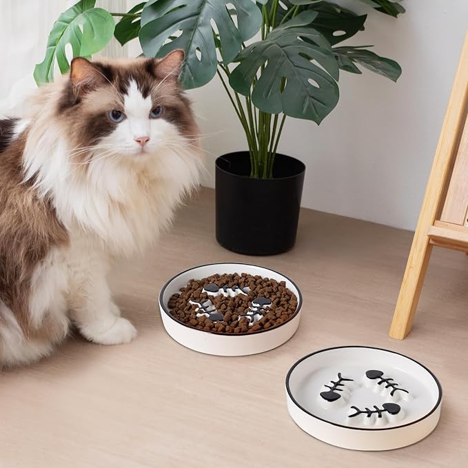 2-Pack Shallow Ceramic Cat Slow Feeder Bowls, Anti-Vomit Food Plates for Whisker Fatigue Relief, Dishwasher Safe, Anti-Acne, Black Chin Prevention, for Dry and Wet Food, Easy Daily Use